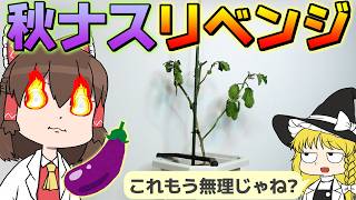 夏に一つも実らなかったナス！ 秋になったら蘇るのか！？【ゆっくり】【サイエンスクッキング #23】
