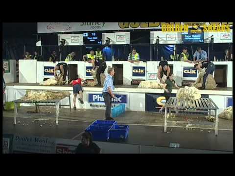 Golden Shears 2014 - World Wool Handling - Round 2 Heat 9
