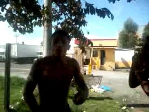 mc warley "pretinho" de kadetinho