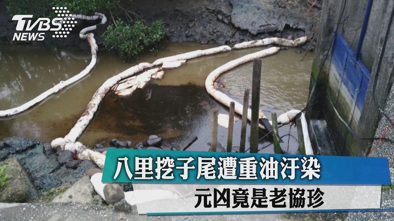 八里挖子尾遭重油汙染 元凶竟是老協珍