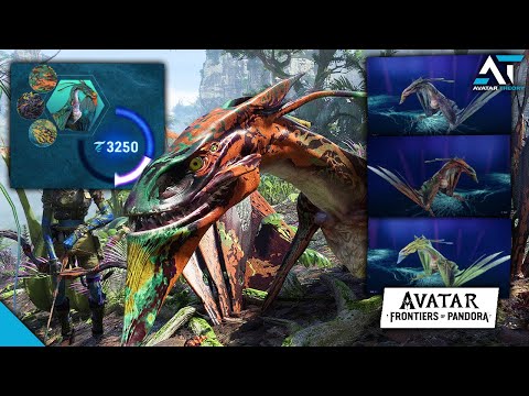 SKY RIDER Starter Pack | Worth the Purchase?