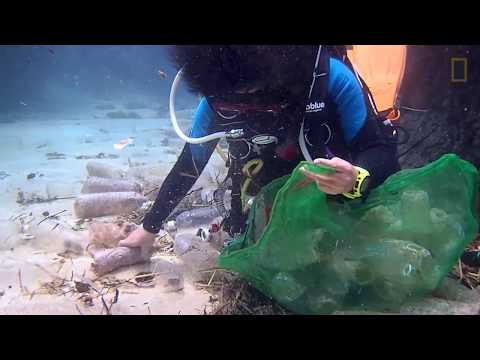 無所不在的汙染！在地球最深海溝又發現塑膠垃圾 - 國家地理雜誌官方網站｜探索自然、科學與文化的最佳權