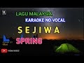 SPRING SEJIWA KARAOKE NO VOCAL MANTAP AUDIO LIRIK TEKS