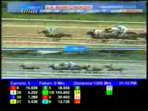 5TA CARRERA SAB 9 JUNIO LA RINCONADA AUDIOHIPISMO