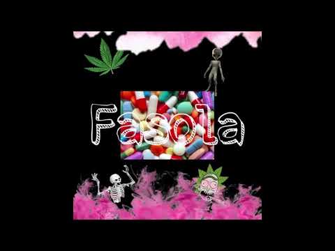 Fasola - Patotrap