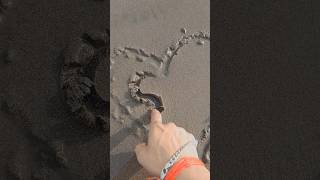 Bazzi - Myself [Official Music Video]