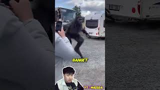 Download lagu Manusia Serigala Ternyata Beneran Ada! #m4zsda #shortvideos #horrorgaming #shorts #reaction mp3