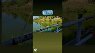 Download lagu #beautifulmorongiyal..#boating..#ropeway..#sukaphapark...Mariani mp3 Download lagu #beautifulmorongiyal..#boating..#ropeway..#sukaphapark...Mariani mp3