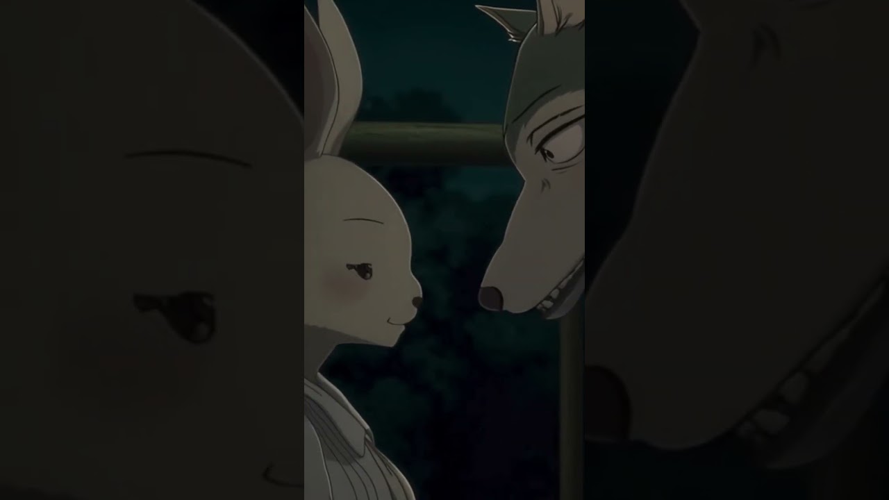 Haru x Legoshi !! #Furry #Beastars #legoshi #Shipping #anime