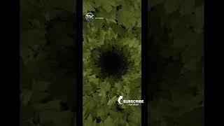 [Try Listening for 1 Minute] FALL ASLEEP FAST | DEEP SLEEP RELAXING MUSIC