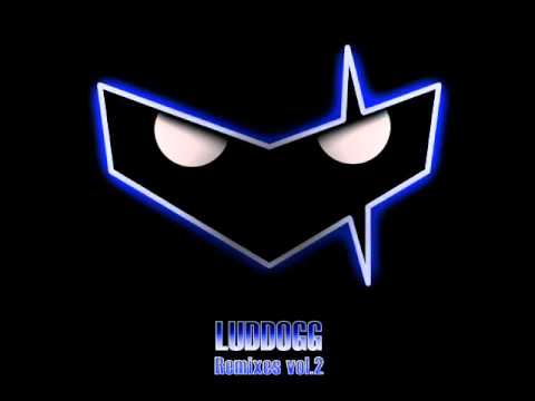 Sidney Samson vs. Steve Angello & L. Luke - Get on the Floor and Show me Love (LudDogg's Mash UP)