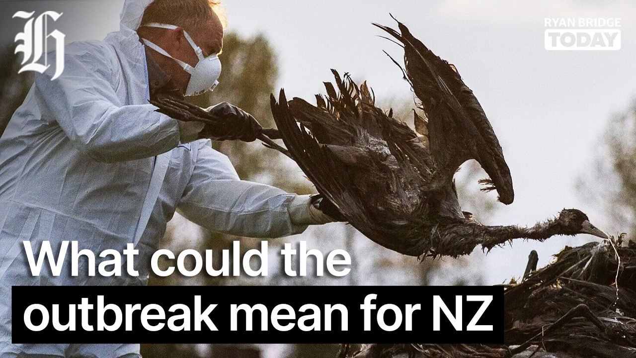 Bird flu: What could the outbreak mean for NZ's $2.2 billion poultry industry? | Ryan Bridge TODAY