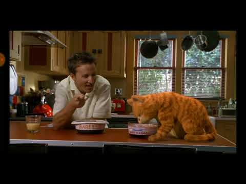 Filme Garfield completo e dublado