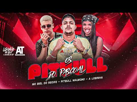MC BIEL DO RECIFE, PITBULL MALVADAO, A LOBINHA - OS PITBULL DO PASCOAL