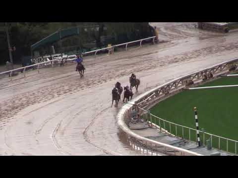 Mucho Gusto romps in Robert B. Lewis Stakes