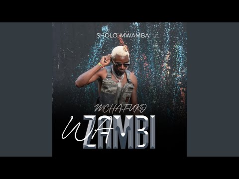 Mchafuko Wa Zambi