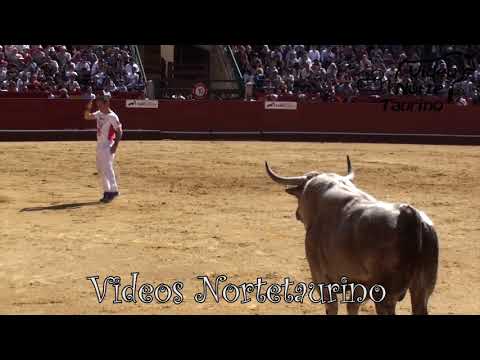 Concurso Fallas (Valencia) Especial Casta Vazqueña 17-03-2019 Toropasion