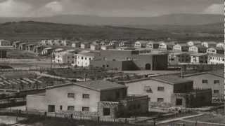 NEW TROLLS - UNA MINIERA HD