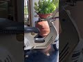 Dior Vespa Portofino Italy Shorts