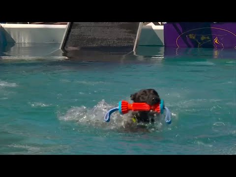 Master Open Class  2023