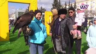 Видео