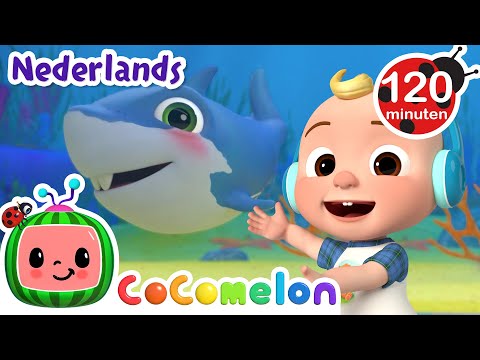 Babyhaai | CoComelon Nederlands - Kinderliedjes
