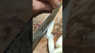 Download lagu ASMR SLANTING SLICING LEEKS FOR STIR-FRY #asmr #slicing #leeks #stirfry#satisfying #satisfyingshorts mp3