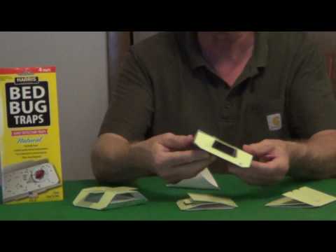 Bed Bug Traps