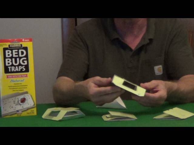 Judge.me YouTube video placeholder