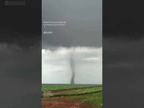 tornado na localidade de baixa grande do ribeiro Piauí