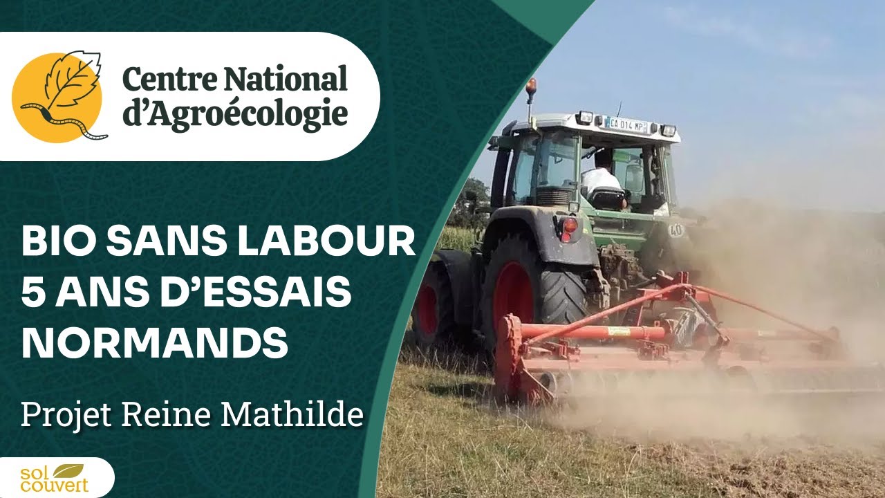 Sans labour en bio ? Retour sur 5 ans d'essais - CNA