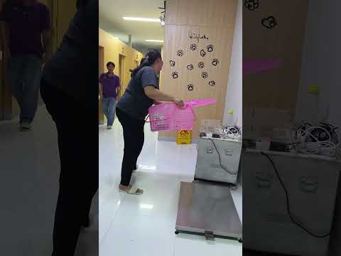 หมดทุกข์​แล้วนะหนูน้อย#หมา​  #ช่วยหมาจร  #หมาจร  #พี่เป้เท่ระเบิด  #หมาจรบ่อขยะ