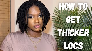 HOW TO GET THICKER LOCS | THICKEN THIN LOCS WITH THESE SIMPLE TIPS