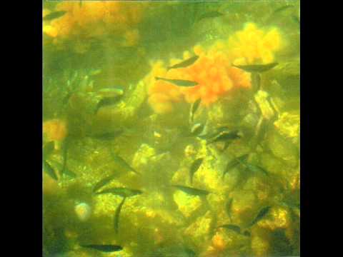 Mind Over Midi feat. Paul St. Hilaire - Ital Swing