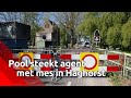 Een Poolse man heeft een agent aangevallen en met een mes gestoken in Haghorst.