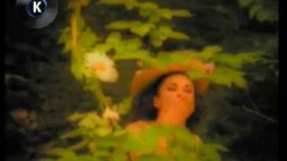 The Grand Fatigue - Army of lovers