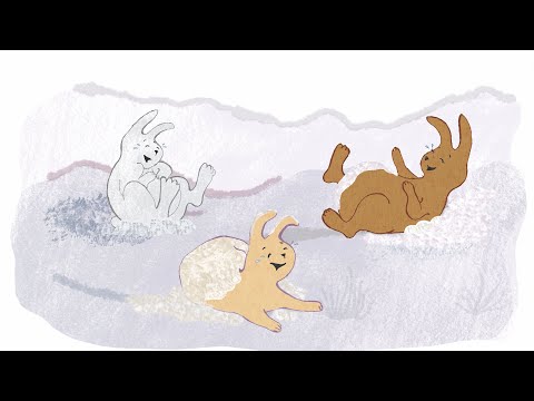 Boektrailer SNEEUWHAAS en het vinden van de vrolijkheid