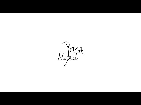 BASA - NU PIERD (Audio)