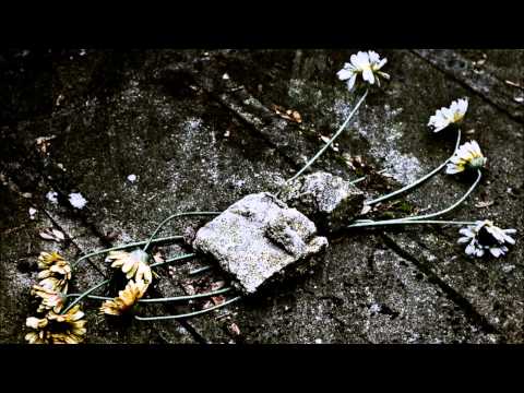 Trespassers William - What Could I Say