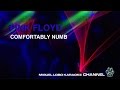 PINK FLOYD - COMFORTABLY NUMB - Karaoke Channel Miguel Lobo