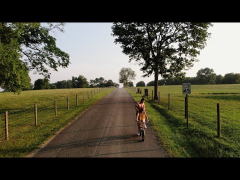 A Delicate Burn | Teaser