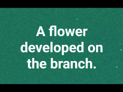 Тренажер для изучения английского языка. 56 полезных фраз для уровня intermediate ( В1 - В2 )