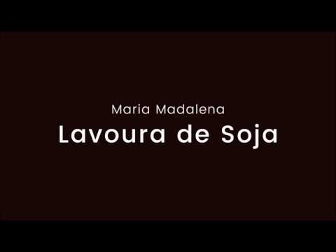 Lavoura De Soja video
