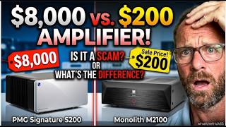 The $8,000 vs $200 Amplifier Comparison - PS Audio vs Monolith