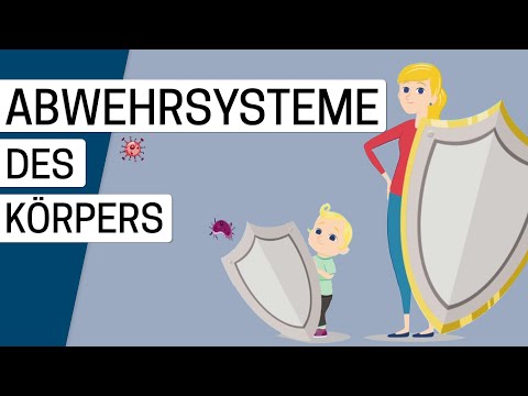 So funktioniert unser Immunsystem