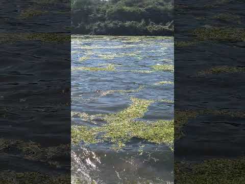 Igaraçu do Tietê