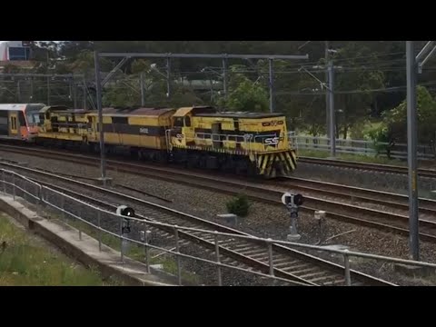 SSR EMU Transfer Service as 1479  with 4917 GM22 4910 at Gosford.