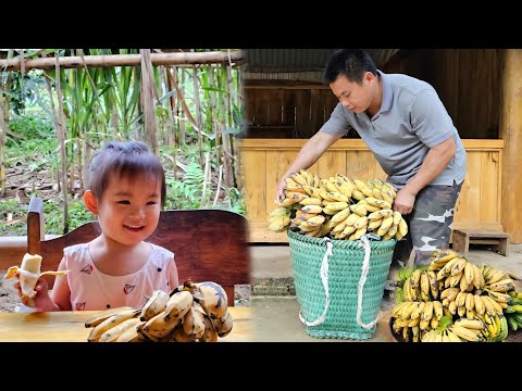 Full Video:30 Days Goes To Market Sell-Harvest Banana & piglets - Repair again the pig pen.