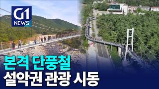 [G1뉴스]본격 단풍철..설악권 관광 시동