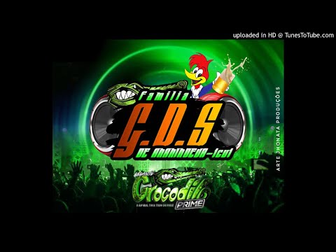 MC BIEL BH E DJ JHONATA PRODUÇÕES FAMILIA GDS DE ANANINDEUA 2021